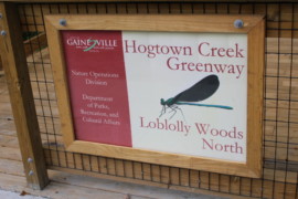 Loblolly Nature Park Boardwalk