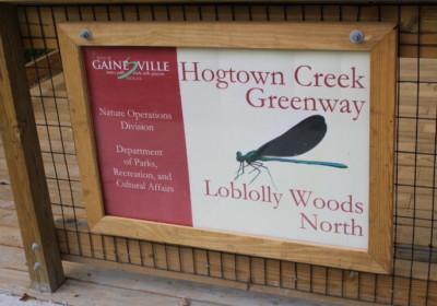 Loblolly Nature Park Boardwalk